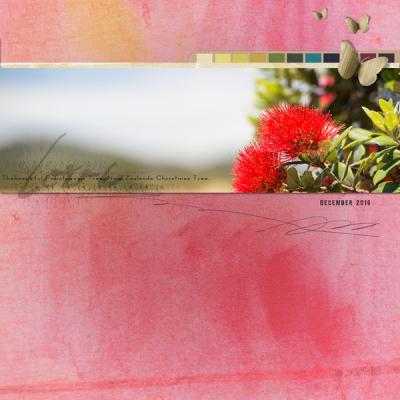 2016-December-Love-Pohutukawa