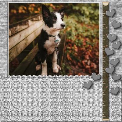 A Little Romance 12x12 Photobook-005