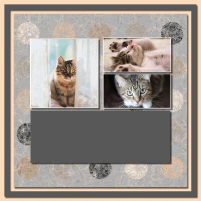 A Little Romance 12x12 Photobook-010