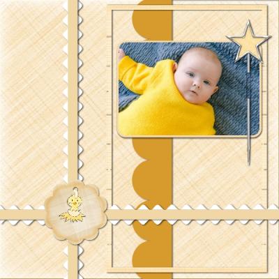 Baby Chicky Caress 12x12 Album-004