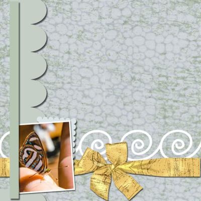 Butterfly-Fly-12x12-Album-002