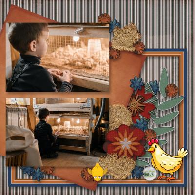 Farm_Country_LO02