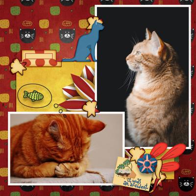 HappyCat_LO02