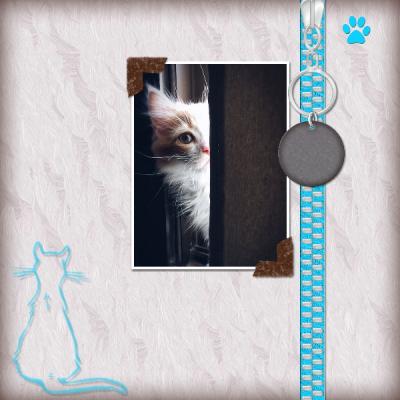 Kit Cat 12x12 Album-001