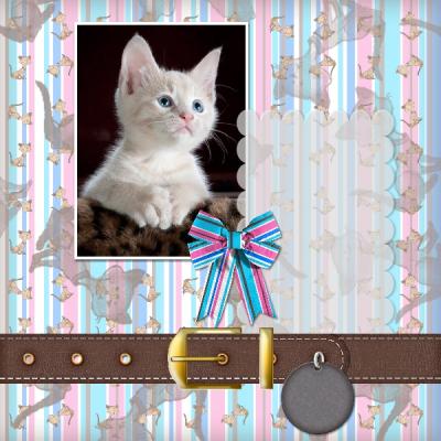 Kit Cat 12x12 Album-003