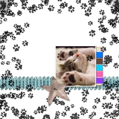 Kit Cat 12x12 Album-004