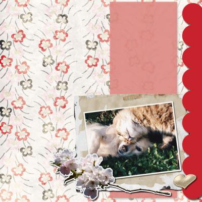 Love-is-in-The-Air-Album-001