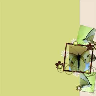 From the Bottom Of My Earth_N4D_ANNETTE_butterflies2
