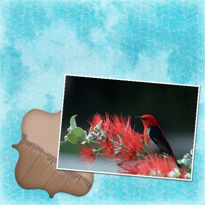 Naturally You 12x12 Album-005