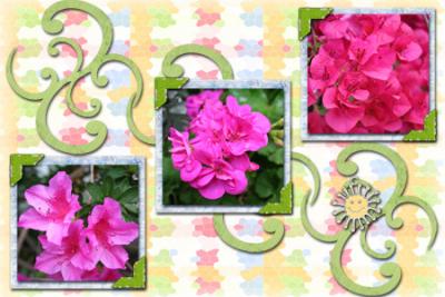 Ode_to_Spring