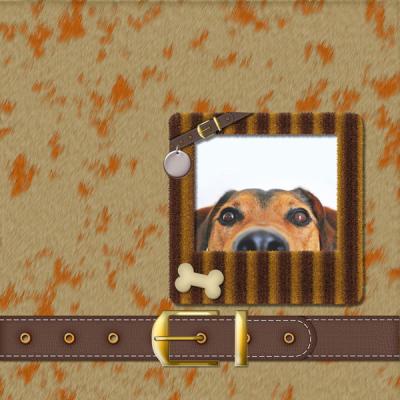 Pets-on-Parade-12x12-Album-001