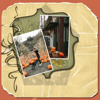 Pumpkin-Patch-12x12-PB-005