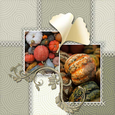 Pumpkin-Patch-12x12-PB-009
