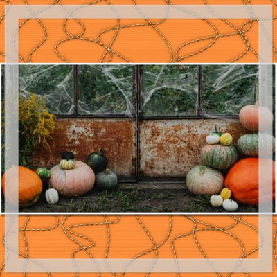 Pumpkin-Patch-12x12-PB-018