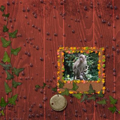 Rain Forest 12x12 Album-001