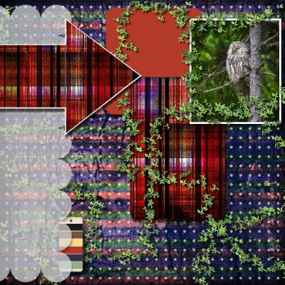 Rain Forest 12x12 Album-003