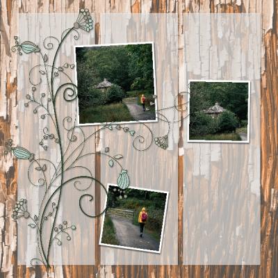 Rain Forest 12x12 Album-004