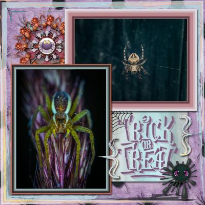 SpiderWebs_LO02