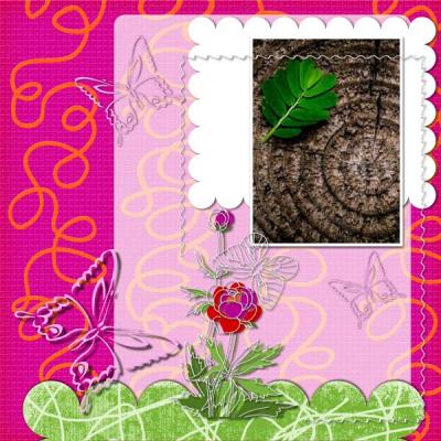 Spring Field 12x12 Album-003
