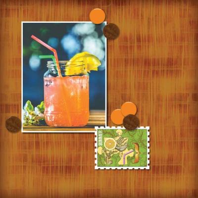 Summer Beverage 12x12 Photobook_2-008