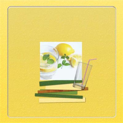 Summer Beverage 12x12 Photobook_2-010