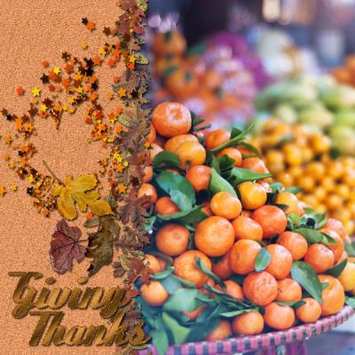 Thanks Harvests Album 12x12-002