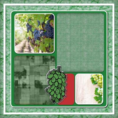 Viney Yard 12x12 Album-004