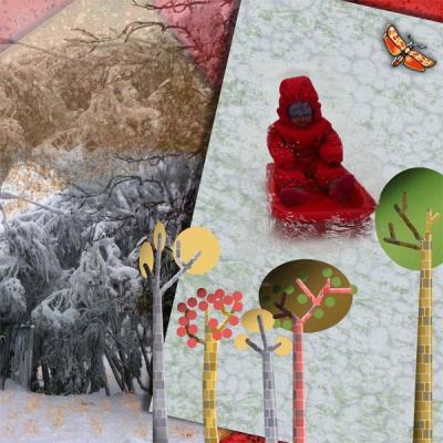 Butterfly-Fly-snow