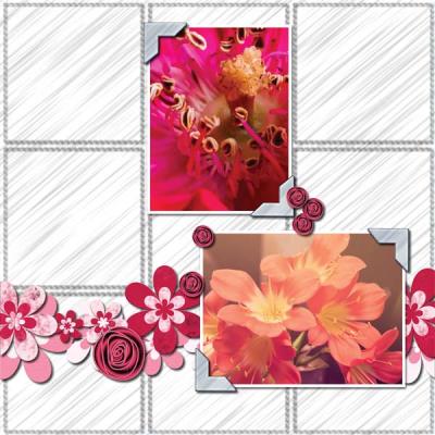 BeautifulMay12x12PB-001 600