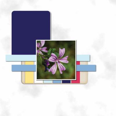 BeautifulMay12x12PB-009 600