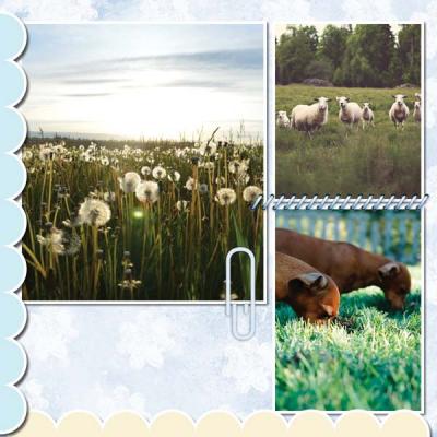 BeautifulMay12x12PB-010 600