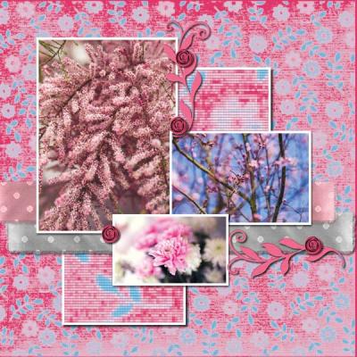 BeautifulMay12x12PB-013 600
