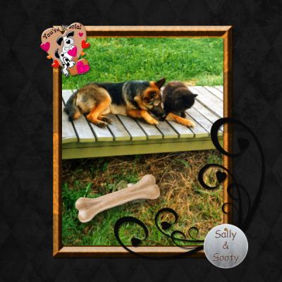 Caro MyOneandMyOnlyDog3-web