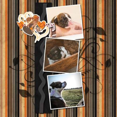 My One and my only Dog 12x12 Photobook-006
