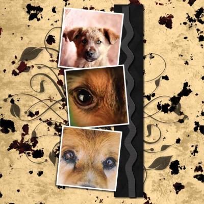 My One and my only Dog 12x12 Photobook-007