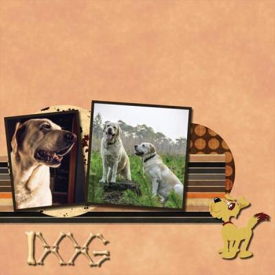 My One and my only Dog 12x12 Photobook-010