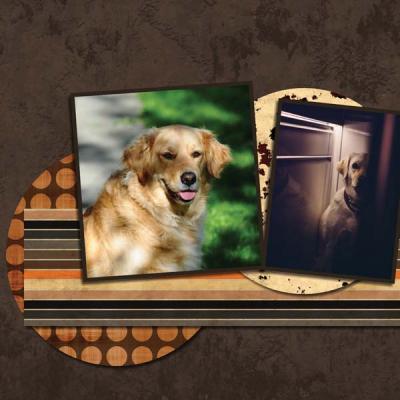 My One and my only Dog 12x12 Photobook-011