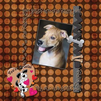 My One and my only Dog 12x12 Photobook-012