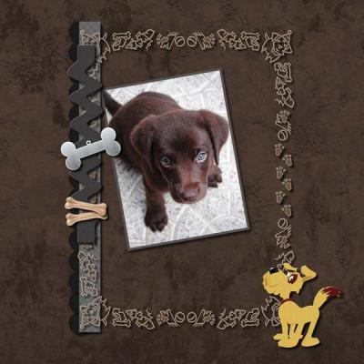 My One and my only Dog 12x12 Photobook-013