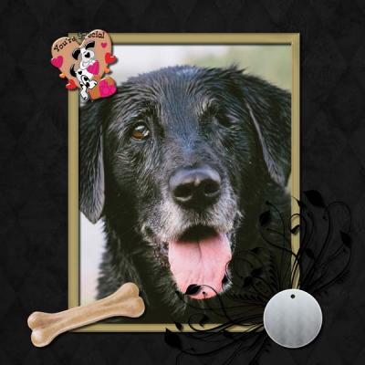 My One and my only Dog 12x12 Photobook-014
