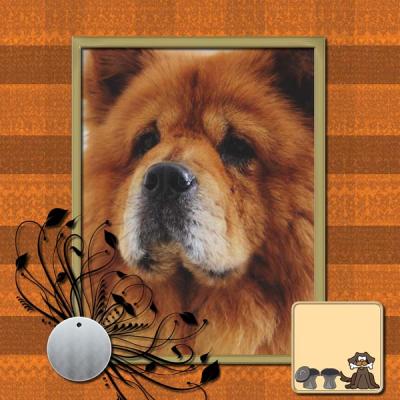 My One and my only Dog 12x12 Photobook-015