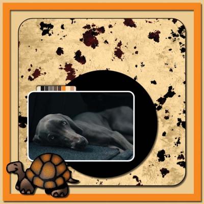 My One and my only Dog 12x12 Photobook-019