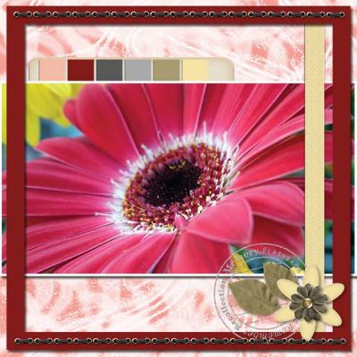 StrawberryCheesecake12x12PB 2 2-009 600