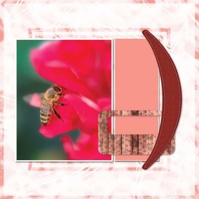 StrawberryCheesecake12x12PB 2 2-014 600