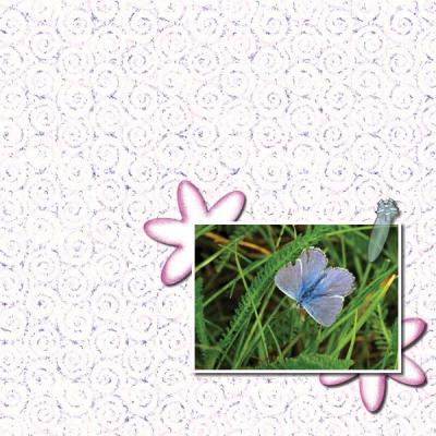 SummerUmbrella12x12Photobook-015 600
