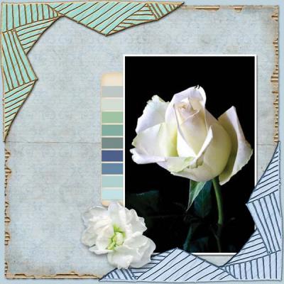 Tenderness 12x12 PB-002