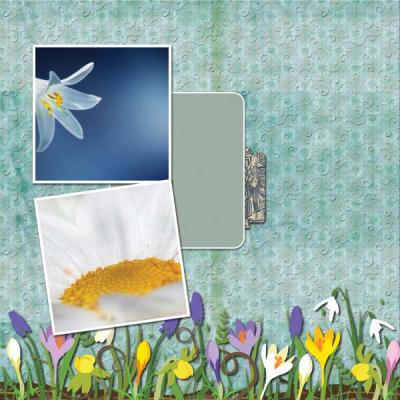 Tenderness 12x12 PB-003