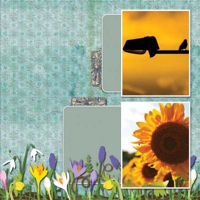 Tenderness 12x12 PB-004
