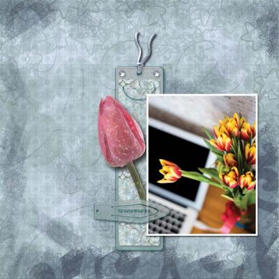 Tenderness 12x12 PB-005